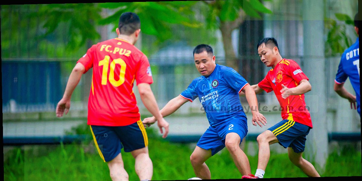 三组并列的栏目结构图，金色线条把栏目与各自子项连接起来，底色为深夜蓝